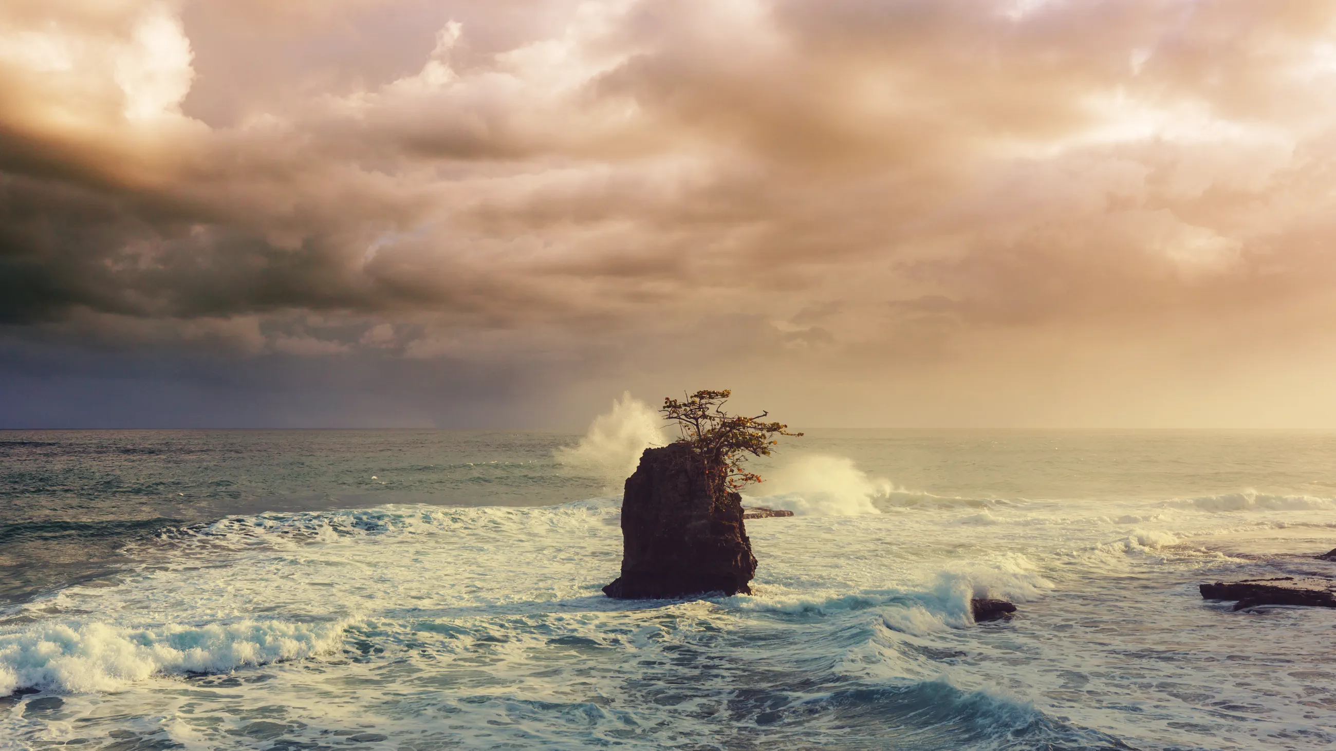 The Nicoya coast